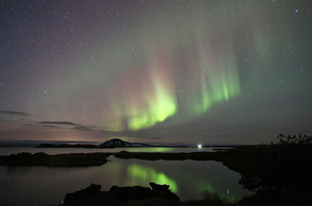 Dimmuborgir Guesthouse ميفاتن المظهر الخارجي الصورة